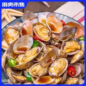 任2件-10元邂逅青春 麻辣花蛤  400g*2盒 （固形物≥60%）丨速食