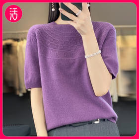 【四季可穿】SIIJJEYY枝辑 100%美丽诺羊毛一线成衣镂空短袖羊毛衫D172（多色可选）