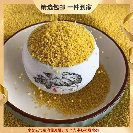 『沂蒙山黄小米』颗粒饱满 稠润香醇 商品图0