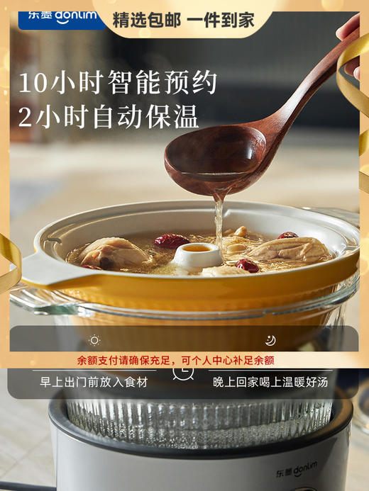 东菱蒸汽锅家用煲汤隔水炖盅多功能蒸煮锅电炖锅 心选到家 商品图0