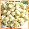 福利活动『横县茉莉花』茉莉雪球+带梗茉莉花干，芳香持久耐冲泡，茶汤透亮，娇如凝露，无香精、无熏硫 商品缩略图0