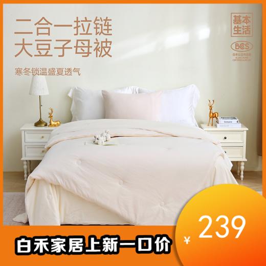 【白禾】【白禾25年秋冬新款上新】A豆蔻暖居四季子母被芯 商品图0