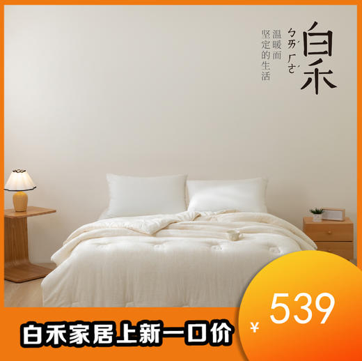 【白禾】【白禾上新】【秋冬新款上新】A棉麻脱脂棉花被芯 棉麻面料   纯棉填充 商品图0