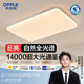 欧普（OPPLE）熙月·25新1.2m大尺寸LED全光谱护眼灯具饰自建房超大客厅吸顶灯