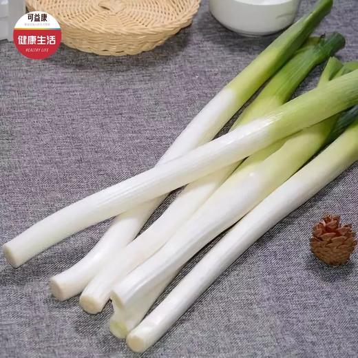 优选|正宗章丘大葱  颗颗精选 人工去皮 脆甜微辣 5斤 商品图1