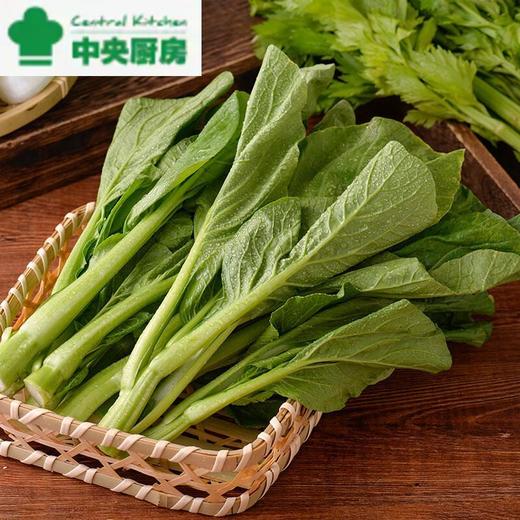 每日伊藤菜心 约200g/袋 商品图0