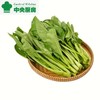 放心菜心苗 约300g/袋 安全安心可追溯 伊藤自有品牌 商品缩略图0