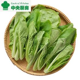 每日伊藤杭白菜 约300g/袋