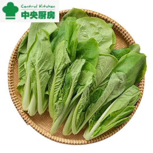 每日伊藤杭白菜 约300g/袋 商品图0