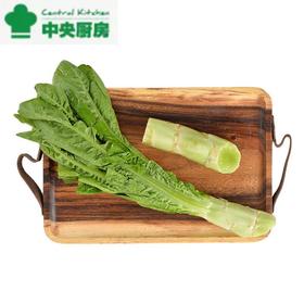 放心青笋 约600g/份