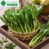 放心鸡毛菜 约200g/袋 安全安心可追溯 伊藤自有品牌 商品缩略图0