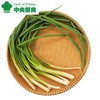 放心香葱 约50g/袋 安全安心可追溯 伊藤自有品牌 商品缩略图0
