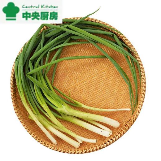 放心香葱 约50g/袋 安全安心可追溯 伊藤自有品牌 商品图0