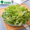 免洗苦菊生菜60g（即食鲜菜） 商品缩略图0