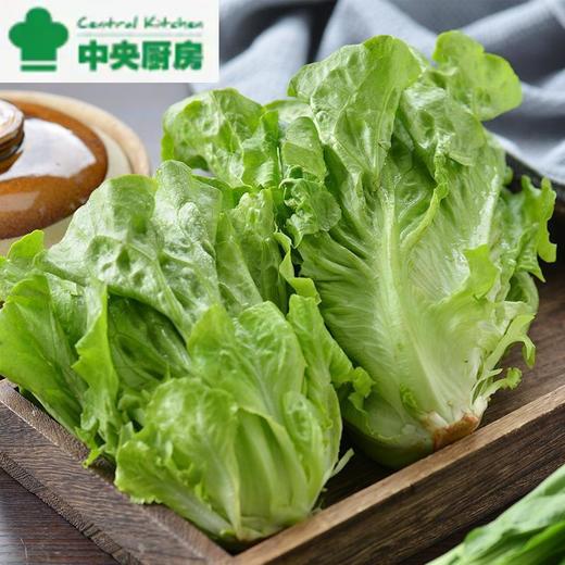 每日伊藤奶油生菜 约250g/袋（新鲜） 商品图0
