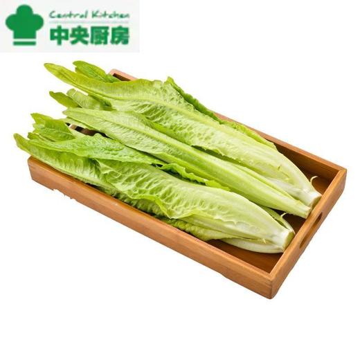 每日伊藤油麦菜 约 300g/袋 商品图0