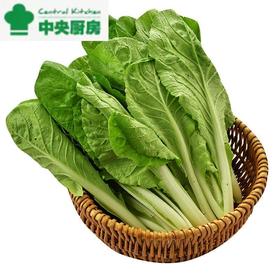 放心杭白菜 约300g/袋 安全安心可追溯 伊藤自有品牌