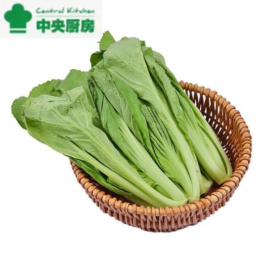 每日伊藤芥菜 约200g/袋 商品图0