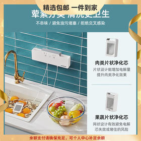 德国蓝宝果蔬清洗机家用食材净化洗菜器蔬菜洗水果卫士 心选到家