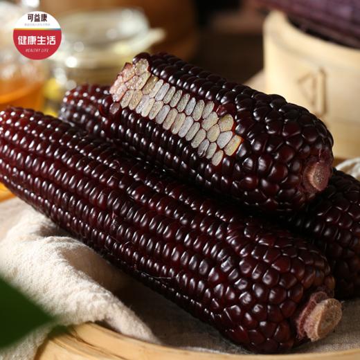 优选|山西忻州有机黑玉米  锁鲜味美 颗粒饱满  香糯回甘  10根装 商品图9