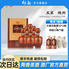 仰韶彩陶坊 五星地利 白酒 陶融型 450+50ml 纯粮酿造 酒香浓郁