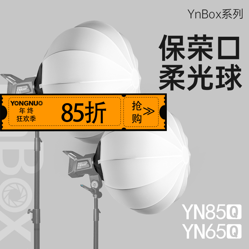 永诺 YNBOX系列 保荣卡口柔光球YN65Q、YN85Q