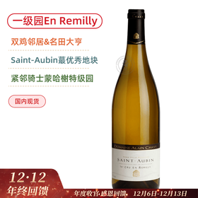 阿兰夏维酒庄圣奥班瑞米莉一级园干白 Domaine Alain Chavy Saint Aubin 1er Cru En Remilly 2023
