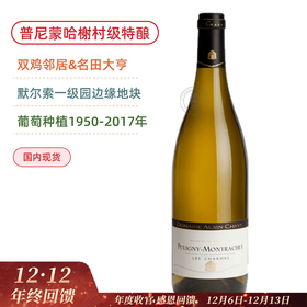 阿兰夏维酒庄普尼蒙哈榭魅园特酿村级干白 Domaine Alain Chavy Puligny Montrachet Les Charmes Blanc 2022