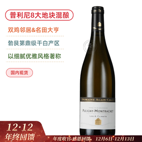 阿兰夏维酒庄普利尼蒙哈榭8号干白Domaine Alain Chavy Puligny-Montrachet Les 8 Climats 2022