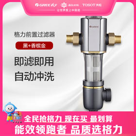格力·前置过滤器 净水机 WTE-QZBW04 黑+香槟金