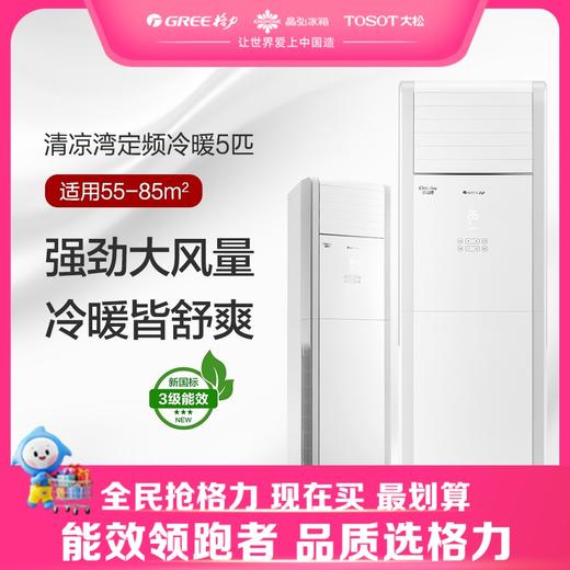 格力·清凉湾 定频冷暖5匹3级能效单元柜机空调 380V电源 RF12WQ/NhB-N3JY01(浅灰) 商品图0