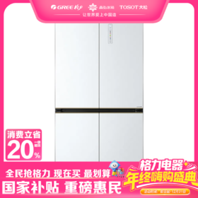 晶弘·十字对开门冰箱  509L BCD-509WPSG/英伦白