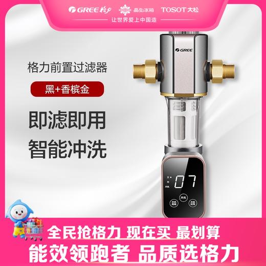 【预售】格力·前置过滤器  WTE-QZBW14S 黑+香槟金 商品图0