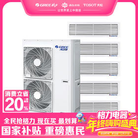 格力·StarⅢ中央空调一拖五 风管多联机 全直流变频空调 主机 GMV-H140WL/Ha 配线控器；（包安装）