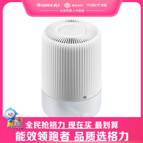 【预售】格力·半导体除湿机  DH03PAA1A 高亮白