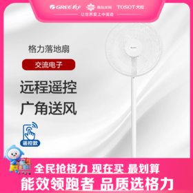 格力·落地扇 遥控式 电风扇 FD-40X78Bh5 白色