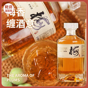 多箱更优惠【配料表干净 酸甜果香浓郁不辣口 威士忌基酒】蒙纳斯德威士忌梅酒 礼盒装500ml*2瓶丨酒水茶饮