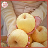 【金黄甜脆 浓郁果香】山东威海 维纳斯金苹果 风味独特酥脆可口 4.3-4.5斤礼盒装 商品缩略图0
