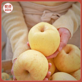 【金黄甜脆 浓郁果香】山东威海 维纳斯金苹果 风味独特酥脆可口 4.3-4.5斤礼盒装