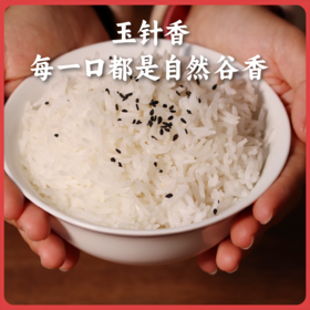 【2025年秋收】谦益香畴玉针香5斤 谦益虚心谷农场 山地冷泉灌溉 自然农耕 米粒似针 晶莹如玉 米香浓厚“超泰米”