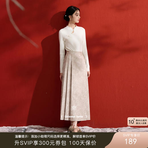 三彩【锦瑟流年】2025冬季新款提花半身裙压褶A字裙长裙C 商品图0