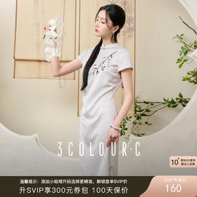三彩【竹影轻吟】2025夏季新款新中式连衣裙提花刺绣长裙C