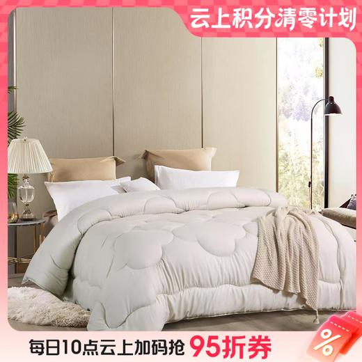 10楼堂皇    智暖大豆亲肤春秋被 200x230胎重600g      吊牌价980元 活动价199元 商品图0