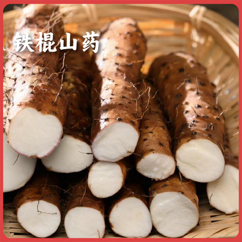 【同行精选】温县红垆土铁棍山药  坚持8不用种植 健康安心  质地绵密 清甜可口  稚嫩脾胃保护神