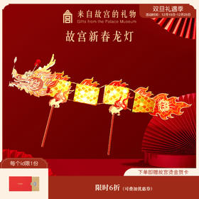 【故宫灯笼】新年手持diy龙灯挂饰新款2025灯笼装饰乔迁春节礼物