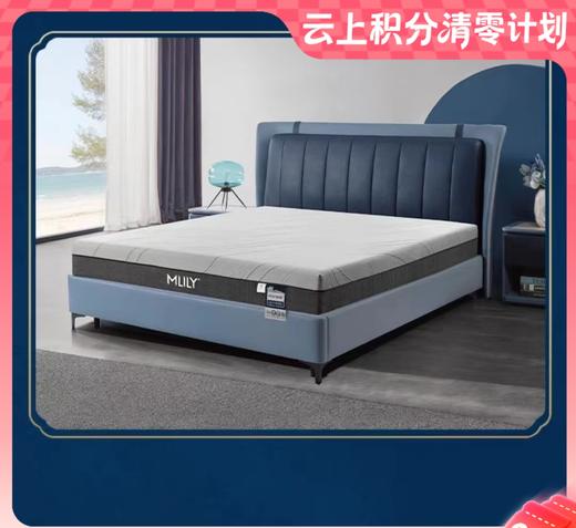 10楼 梦百合 月梦0压厚垫22公分（  1.5/1.8米) 吊牌价7199/7599元 活动价5759/6079元 商品图0