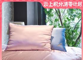 【云粉节】10楼 梦洁 悦彩丝棉蚕丝对枕；吊牌价1699活动价499/对