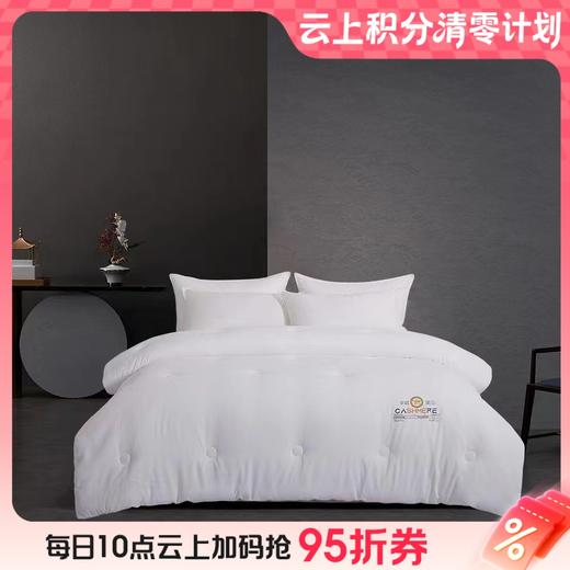 【云粉节】10楼堂皇    舒馨阳绒蛋白冬被      吊牌价890-990元  活动价199-259元 商品图0