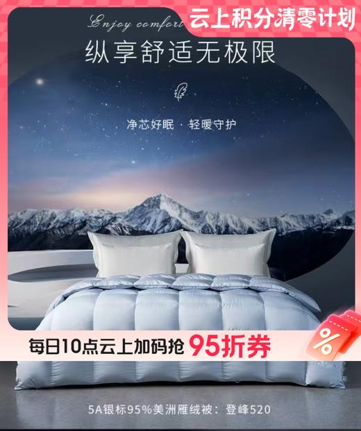 【云粉节】10楼梦洁 5A银标95%美洲雁绒被四季被800克.248*248cm吊牌价8599现价2999 商品图0
