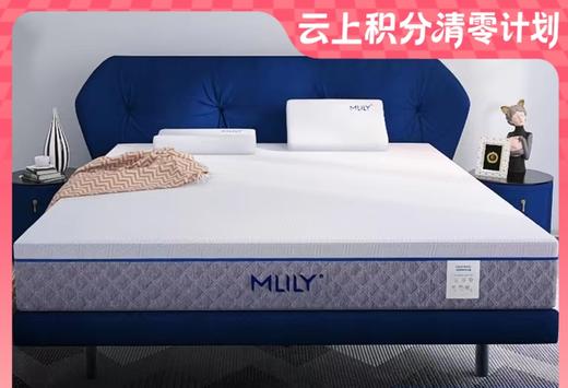 10楼 梦百合 艾尔0压厚垫25公分(1.5/1.8) 吊牌价8999/9999元 活动价7199/7999元 商品图0